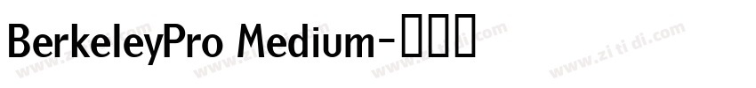 BerkeleyPro Medium字体转换